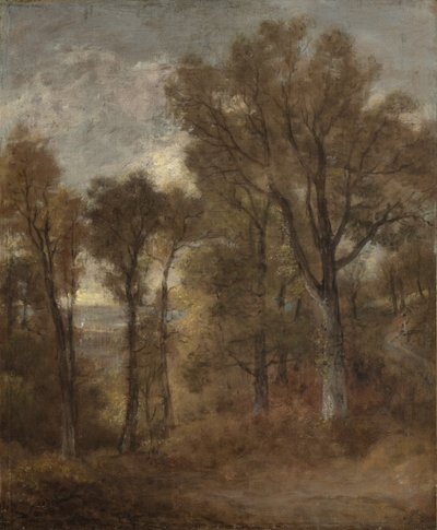 Waldszene mit Blick auf Dedham Vale von John Constable