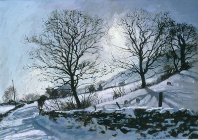Winterlicher Nachmittag in Dentdale von John Cooke