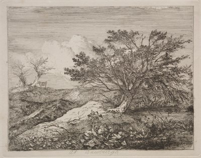 In Bawburgh von John Crome