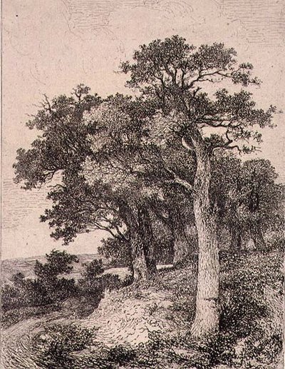 In Colney, veröffentlicht von J. & W. Freeman von John Crome
