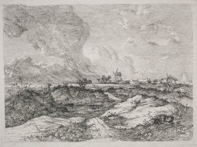 Mousehold Heath von John Crome
