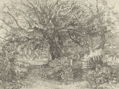 Straßenszene, Trowse Hall, 1813 von John Crome