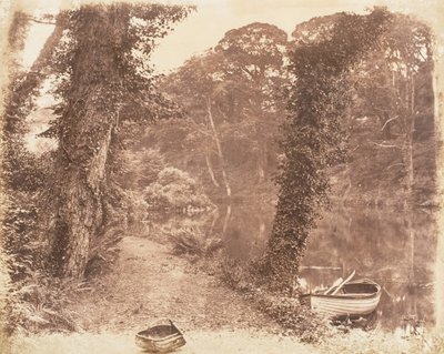 Oberer See von John Dillwyn Llewelyn