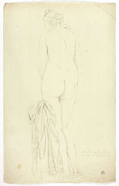 Kapitolinische Venus von John Downman