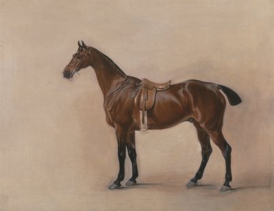Studie eines gesattelten Braunen von John E. Ferneley