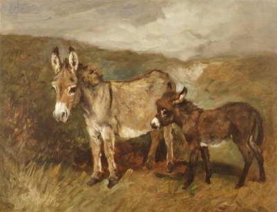 Esel auf der Heide, ca. 1890 von John Emms
