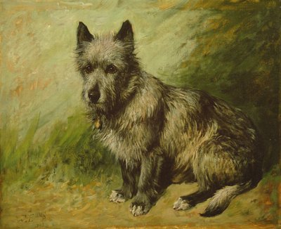 Tatters von John Emms