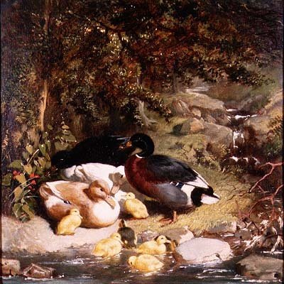 Enten und Entenküken von John Frederick Herring Senior