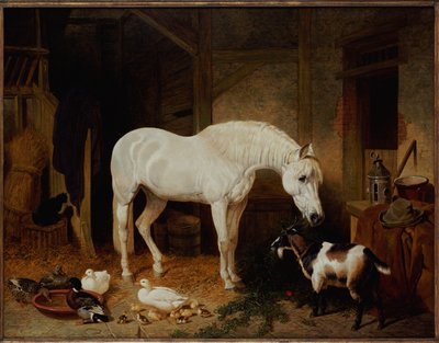 Stallgefährten von John Frederick Herring Senior