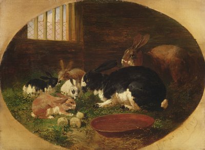 Der Kaninchenstall von John Frederick Herring Senior