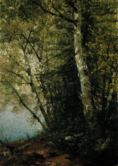 Studie von Buchen, 1872 von John Frederick Kensett