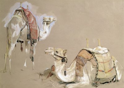 Kamelstudien von John Frederick Lewis