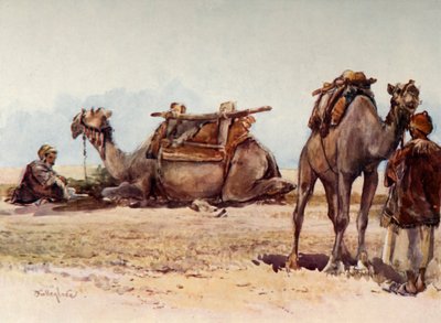 Studie von Kamelen und Begleitern, 1902 von John Fulleylove