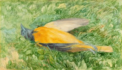 Goldammer (Nordamerikanische Oriole) von John Henry Hill