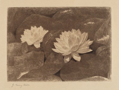 Seerosen von John Henry Hill