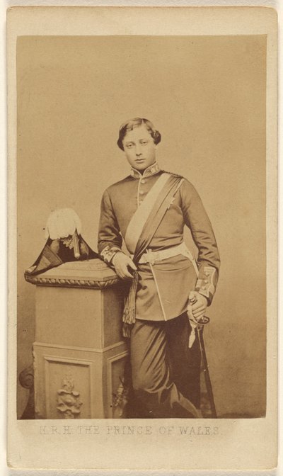 S.K.H. Der Prinz von Wales von John Jabez Edwin Mayall