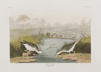 Illustration aus 
