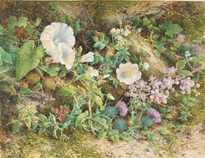 Blumenstudie, 1866 von John Jessop Hardwick