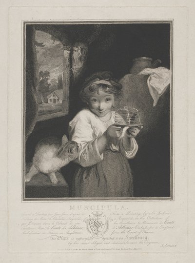 Muscipula von John Jones