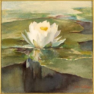 Seerose im Sonnenlicht von John La Farge