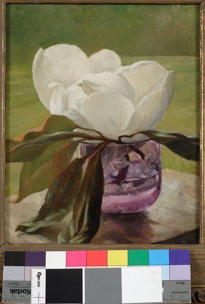 Magnolienblüte von John La Farge or Lafarge