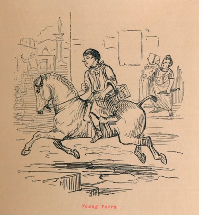 Junger Varro, 1852 von John Leech