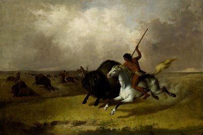 Büffeljagd auf den südwestlichen Prärien von John Mix Stanley