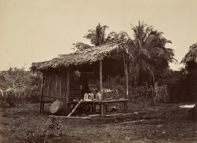 Tropische Landschaft, Einheimische Hütte, Turbo, 1871 von John Moran