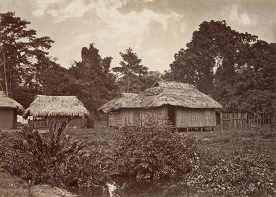 Tropische Landschaft, Turbo Village, 1871 von John Moran