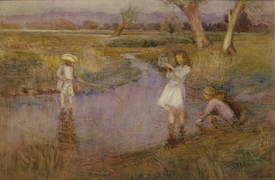 Minnows fangen - Town Meadows, Maidstone, Kent von John Pedder