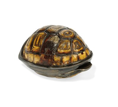 George III Terrapin Schnupftabakdose, 1817 von John Reily
