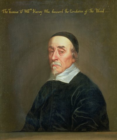 Porträt von William Harvey (1578-1657) von John Riley