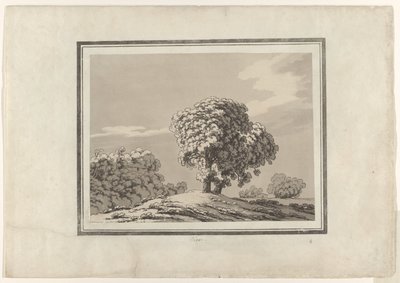 Ulme von John Robert Cozens