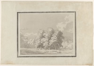 Rosskastanie von John Robert Cozens
