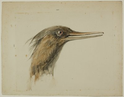 Säger von John Ruskin