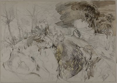 Sträucher und Bäume in felsiger Landschaft von John Ruskin