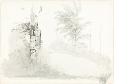 Baumstudie von John Ruskin