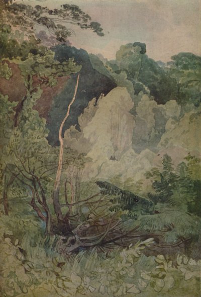 Bäume in der Nähe des Greta-Flusses, 1923 von John Sell Cotman