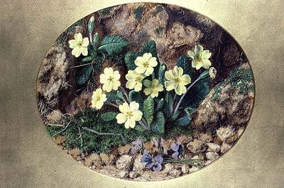 Primeln und Veilchen von John Sherrin