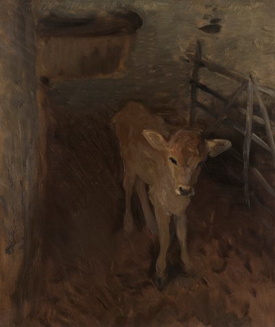Ein Jersey-Kalb von John Singer Sargent