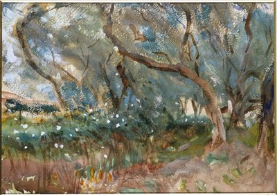 Landschaft, Korfu, 1909 von John Singer Sargent