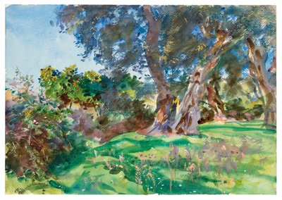 Olivenbäume, Korfu von John Singer Sargent