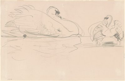 Schwäne im Wasser von John Singer Sargent