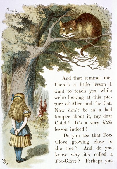 Die Grinsekatze von John Tenniel