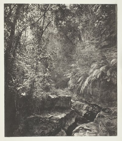 Ein Gebirgspass in Formosa von John Thomson