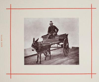 Black Jack, 1877 von John Thomson