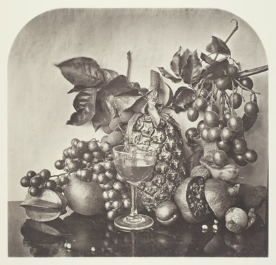 Früchte von John Thomson