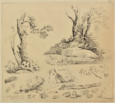 Blatt mit Studien von Baumstämmen und Laub von John Varley