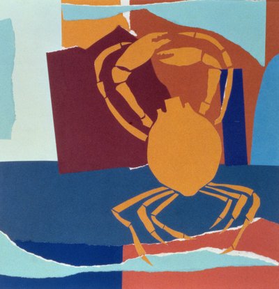 Spinnenkrabbe von John Wallington