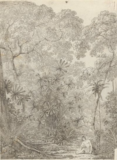 Die Fächerpalme von Krakatau von John Webber
